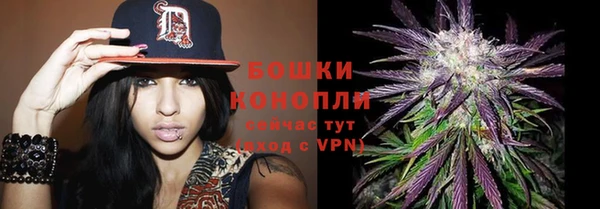 молекула духа Тихвин