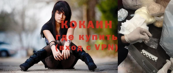 молекула духа Тихвин