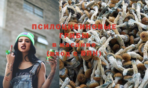 MDMA Premium VHQ Тихорецк